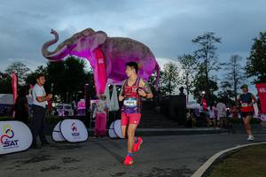 BIB: 
                            <button type="button" onclick="openModal(26529563)" class="btn btn-primary btn-sm float-right btn-popup" data-toggle="modal" data-target=".modal-high-quality">
                        <i class="fas fa-shopping-cart"></i> Add to Cart
                    </button>
                                            <button type="button" onclick="isThisMe(26529563, true)" class="btn btn-success btn-sm float-right btn-popup btn-isme hidden" data-toggle="tooltip" data-placement="bottom" title="นี่คือรูปของคุณใช่ไหม คลิกที่นี่เพื่อเอาเข้าอัลบั้ม">
                        <i class="fas fa-plus"></i> Add to album
                    </button>
                    <button type="button" onclick="isThisMe(26529563, false)" class="btn btn-warning btn-sm float-right btn-popup btn-isnotme hidden">
                        <i class="fas fa-ban"></i> Remove from album
                    </button>